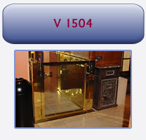 V 1504 Platform Lifts